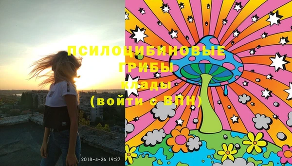 молекула духа Видное