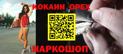 индика Гатчина