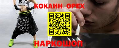 индика Гатчина