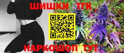 индика Гатчина
