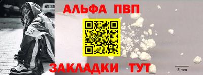 индика Гатчина