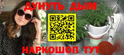 индика Гатчина