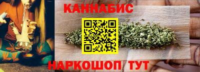 индика Гатчина