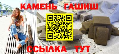 индика Гатчина