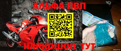 индика Гатчина