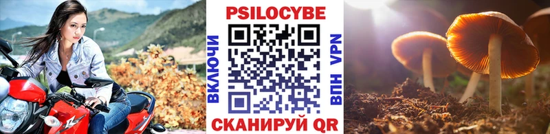 Псилоцибиновые грибы Magic Shrooms  KRAKEN вход  Ирбит 